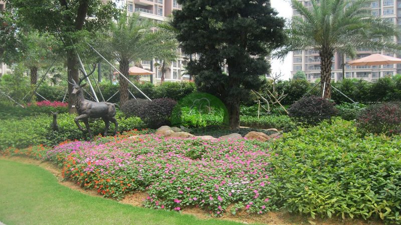 小区园林景观设计公司推荐
