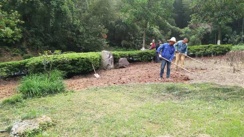 城市绿化草坪病虫害防治全攻略