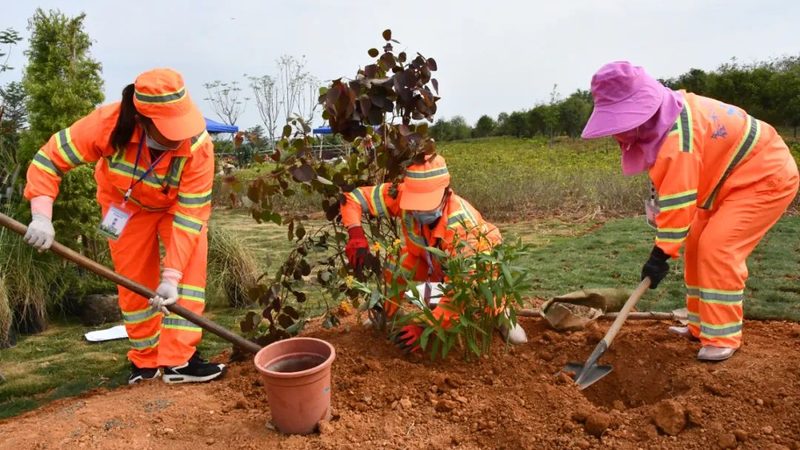 绿植租赁定制方案供应商