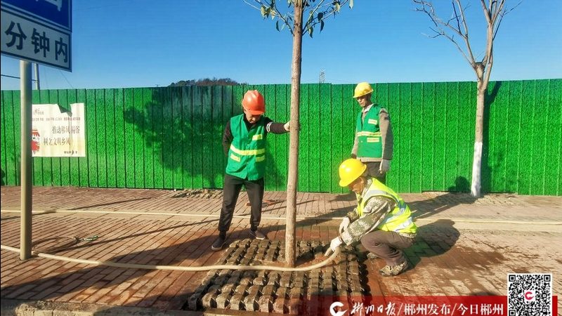 小区景观设计施工图：绘制与审阅的关键步骤