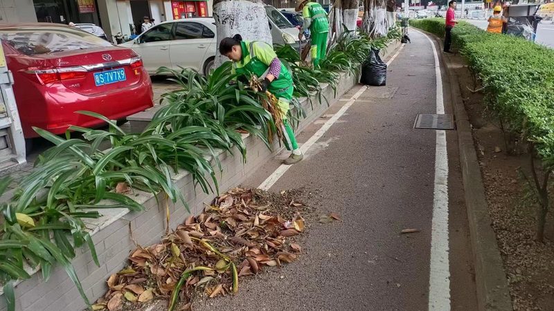 上海垂直绿化设计：打造城市立体绿意，提升城市生态品质**