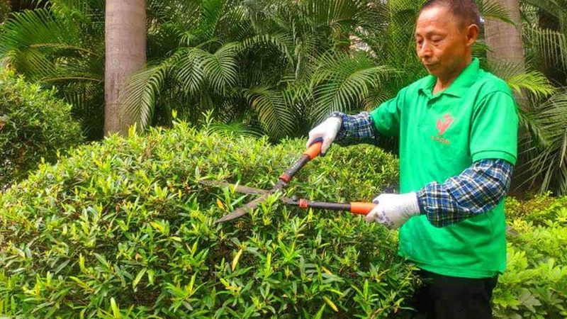 小庭院设计：如何避免走进这些误区**