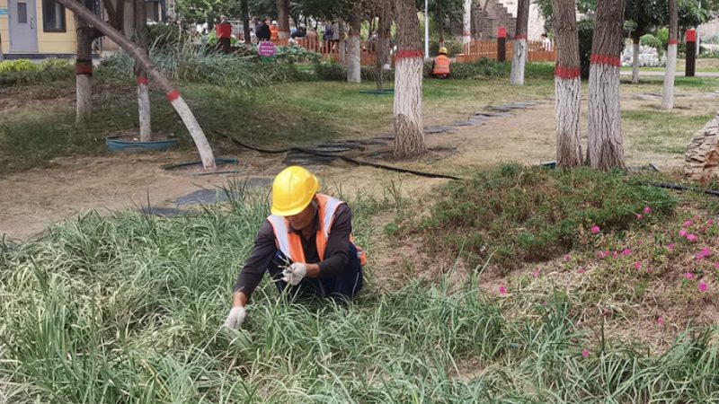 市政绿化养护工人：守护城市绿意的守护者**
