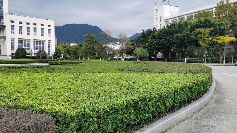 山地种苗，先读懂山