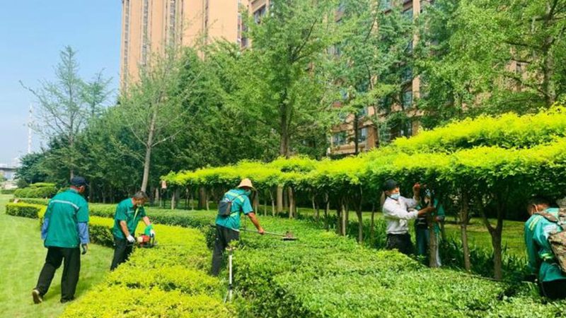 别墅花园设计效果图：如何挑选优质素材？**